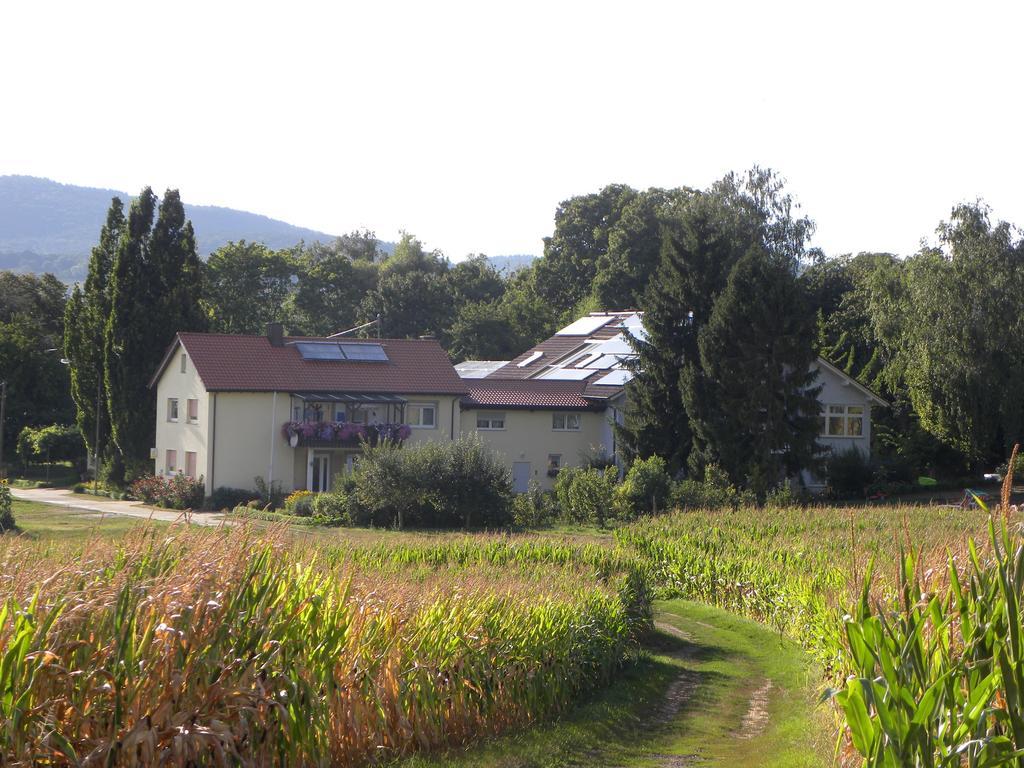 Ferienwohnungen Eichenhof Kapellen-Drusweiler Extérieur photo
