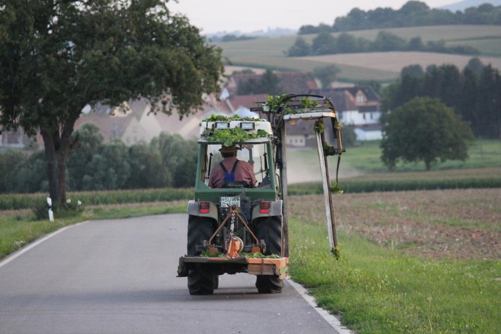 Ferienwohnungen Eichenhof Kapellen-Drusweiler Extérieur photo